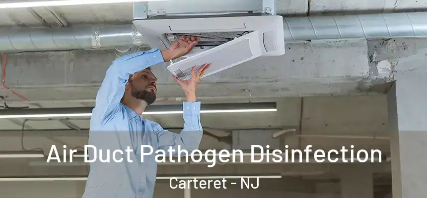  Air Duct Pathogen Disinfection Carteret - NJ