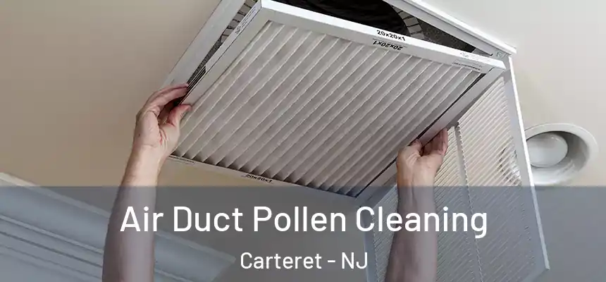 Air Duct Pollen Cleaning Carteret - NJ