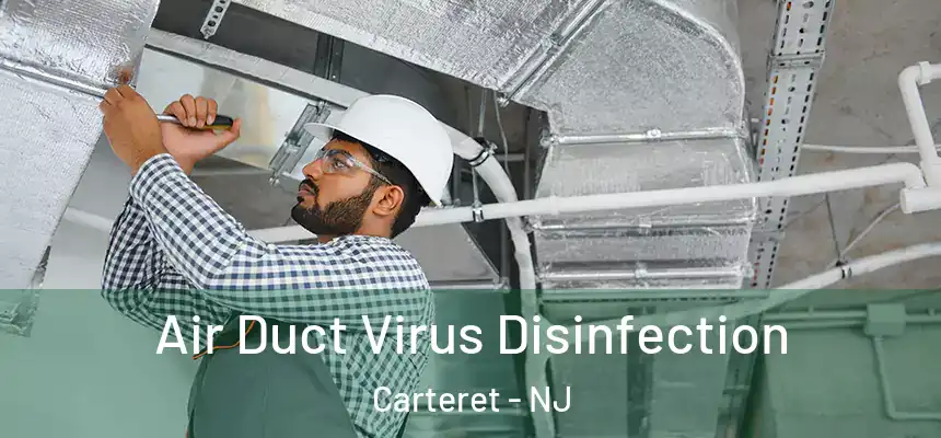  Air Duct Virus Disinfection Carteret - NJ