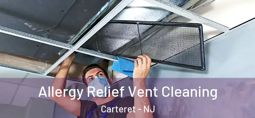 Allergy Relief Vent Cleaning Carteret - NJ