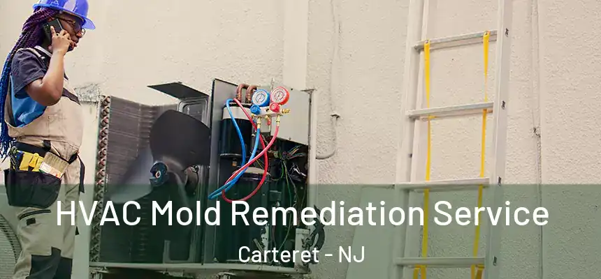  HVAC Mold Remediation Service Carteret - NJ