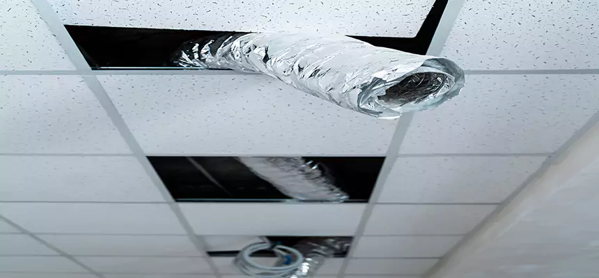 Our Air Duct Pet Hair Removal Services in Carteret, NJ