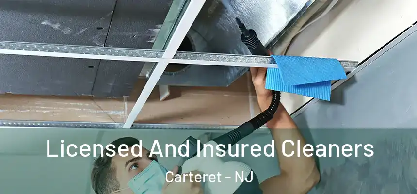 Licensed And Insured Cleaners Carteret - NJ