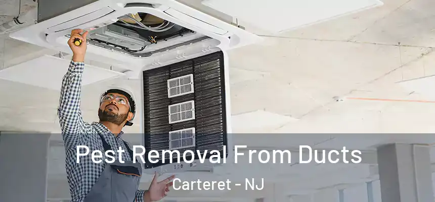 Pest Removal From Ducts Carteret - NJ