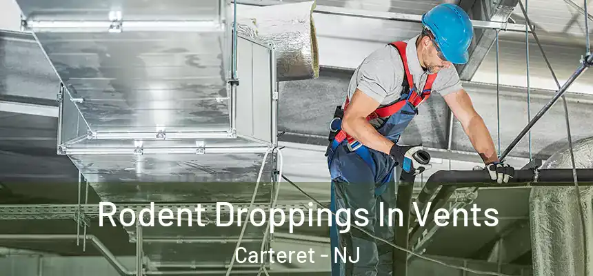  Rodent Droppings In Vents Carteret - NJ