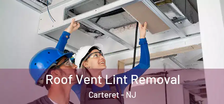  Roof Vent Lint Removal Carteret - NJ