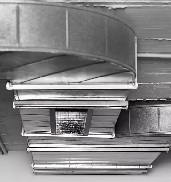 Professional Air Duct Pest Removal in Carteret, NJ