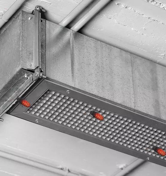 Affordable Insect Removal from Air Ducts in Carteret, NJ