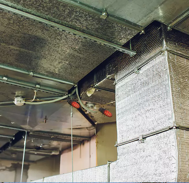 Why Homeowners & Businesses Trust Us in Carteret, NJ?