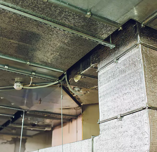 Why Homeowners & Businesses Trust Us in Carteret, NJ?